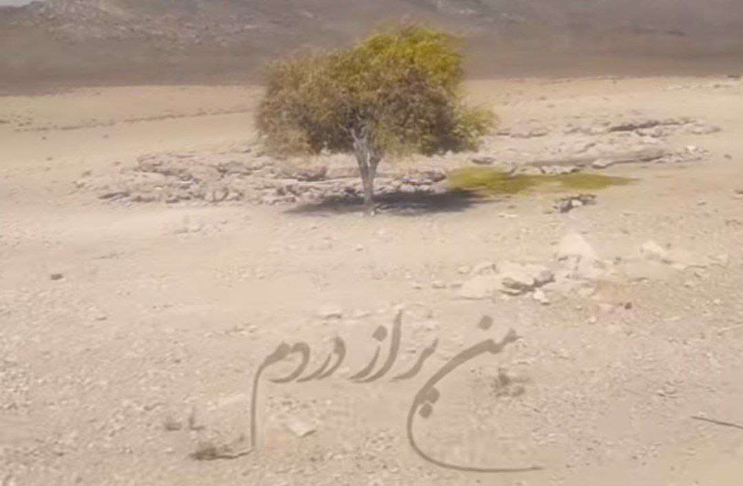  من پر از دردم پر از دردم پر از دردم ولی تا نگاهت می‌کنم